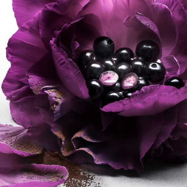 Lancome La Nuit Tresor Le Parfum fragrance, UK version