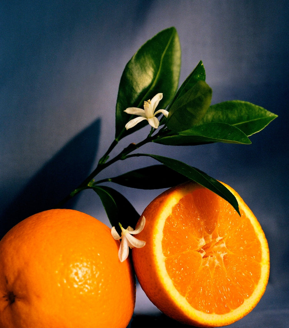 LOEWE Orange Blossom candle 0.5kg, UK version