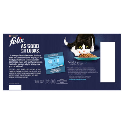 Felix Wet Cat Food Ocean Feasts 40x85g - British product