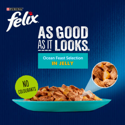 Felix Wet Cat Food Ocean Feasts 40x85g - British product