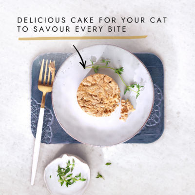GOURMET Gold wet cat food Savoury Cake Meat and Fish Variety 8x85g, UK version
