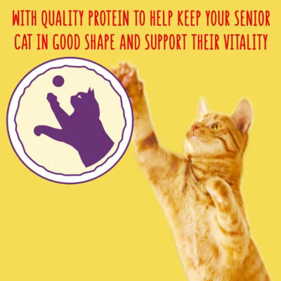 Go Cat senior chicken and turkey dry cat food 750g, UK version
