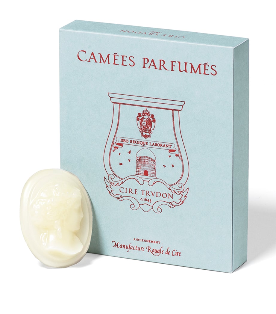 Trudon La Promenuse Ernesto glass diffuser (British brand)