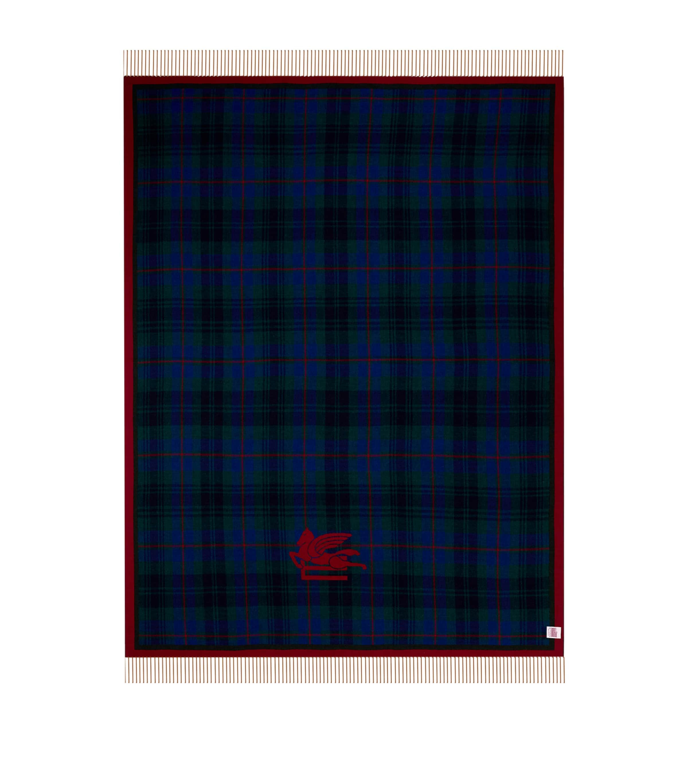 Etro Wool Fringed Boyd Throw (140cm x 180cm)