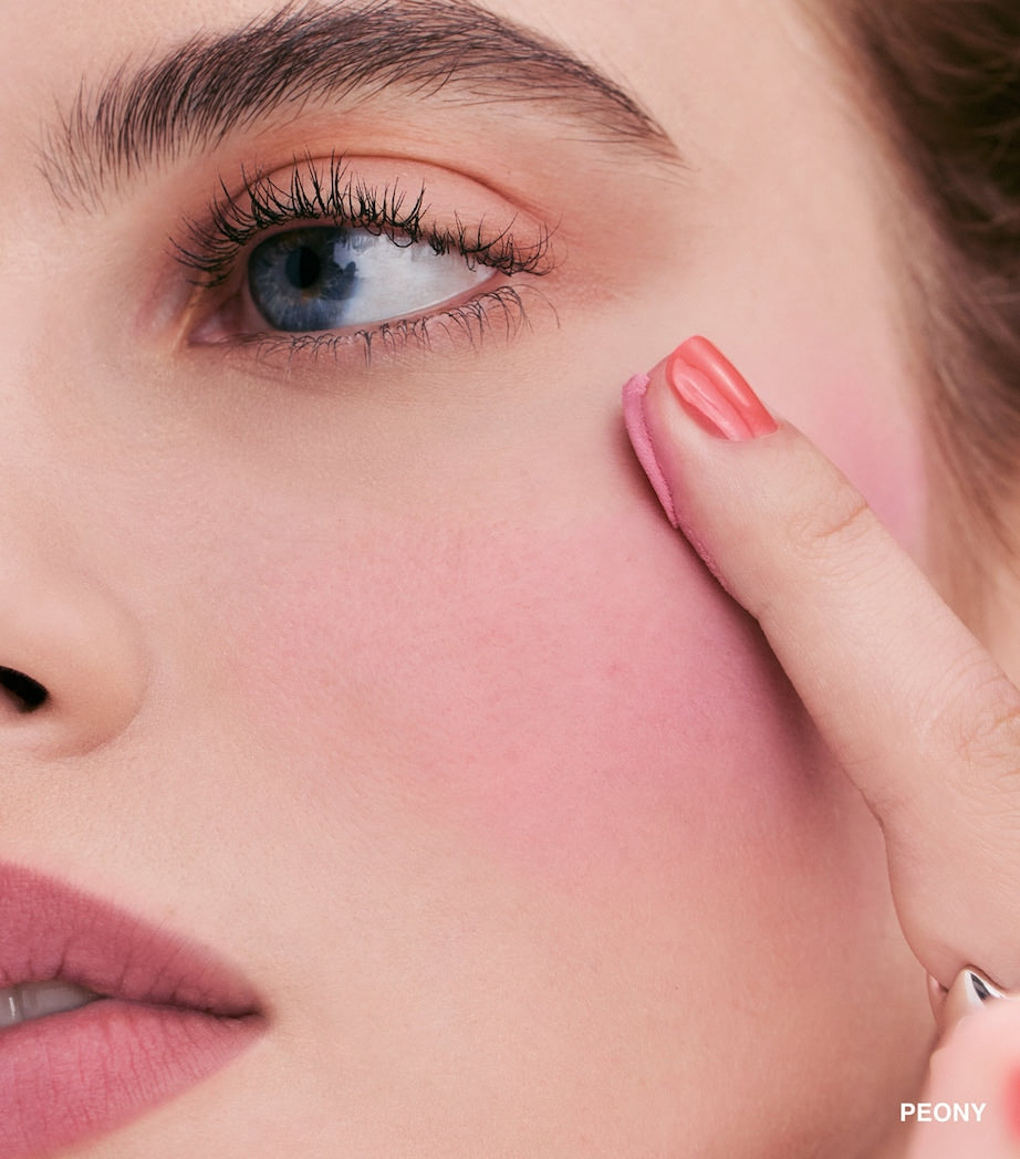 Bobbi Brown Pot Rouge