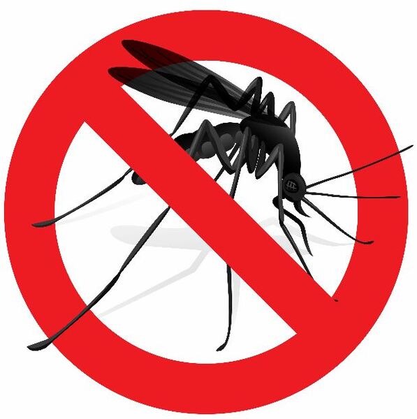 Mozzipatch mosquito repellent patches imported from the UK