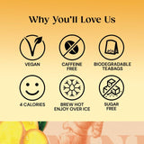 Twinings Spiced Ginger Tea   20 per pack GOODS M&S   