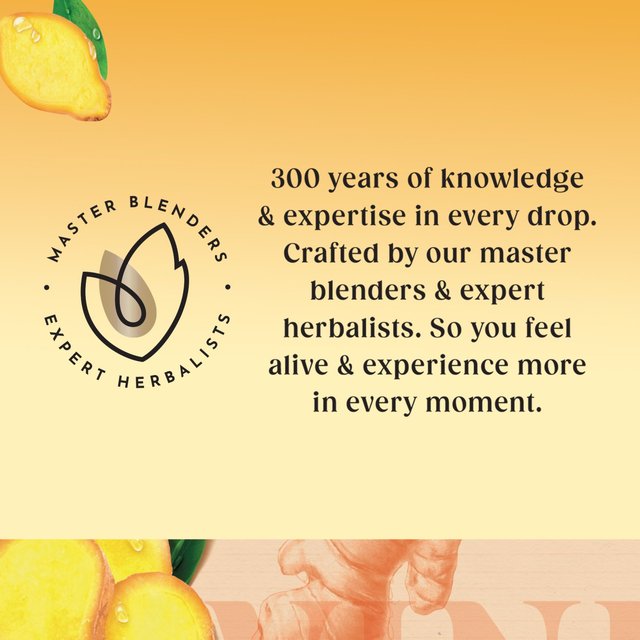 Twinings Spiced Ginger Tea   20 per pack GOODS M&S   