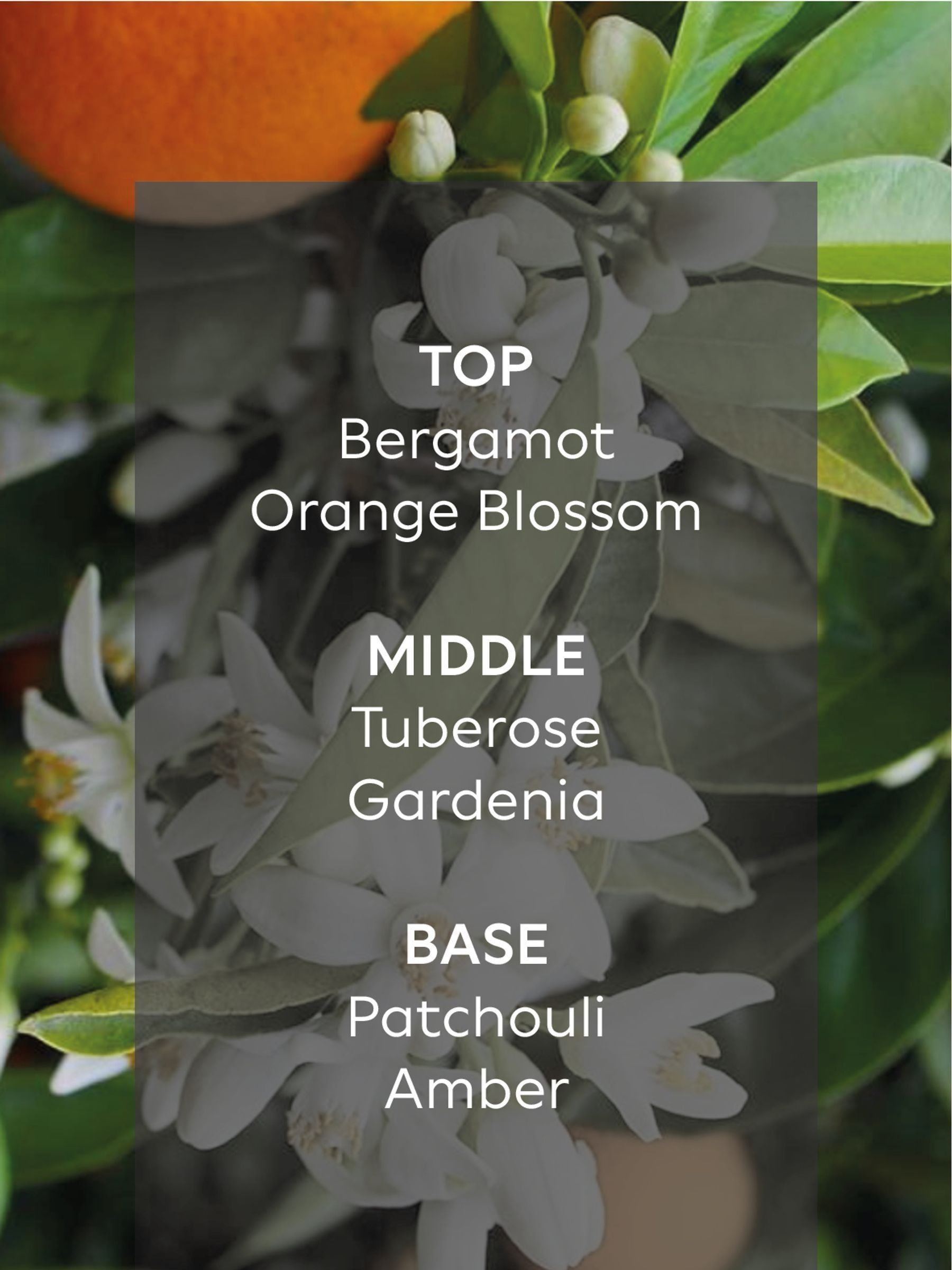 Collection Luxe New York Jasmine & Orange Blossom diffuser refill 200ml - British product