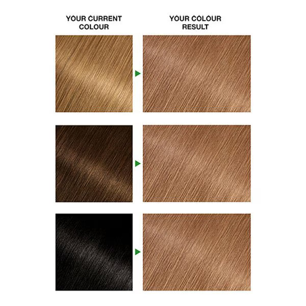 Garnier Nutrisse 6.3 Golden Light Brown Hair Dye, UK version