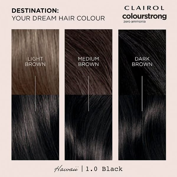 Clairol Colour Strong permanent hair dye black - British product