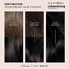 Clairol Colour Strong permanent hair dye black - British product