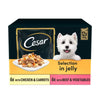Cesar dog food pouches mixed selection 12x100g - British product