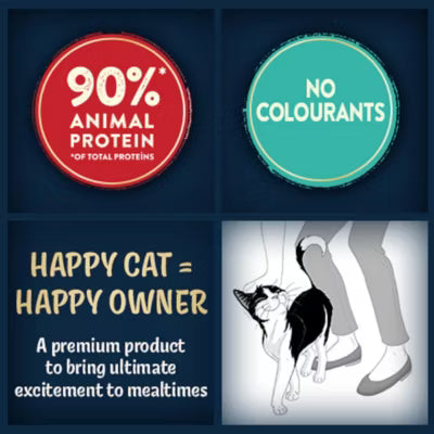 Felix wet cat food mixed selection in jelly 12x80g - British product