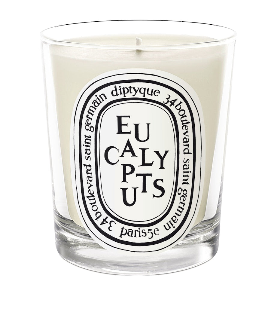Eucalyptus Scented Candle with 60-Hour Burn Time (190g)