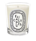 Eucalyptus Scented Candle with 60-Hour Burn Time (190g)