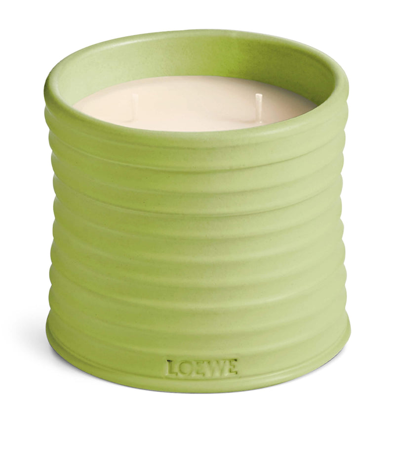 LOEWE medium cucumber scented candle, UK version