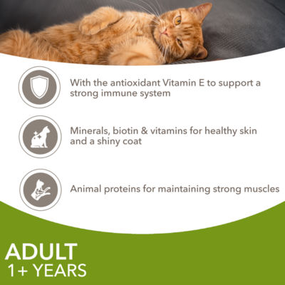 Iams adult wet cat food meat variety mix 8 x 85g, UK version