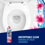 Domestos Floral Fresh toilet gel 750ml - British product