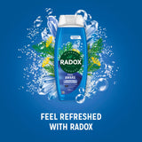 Radox Feel Awake 2-in-1 shower gel 450 ml, imported from the UK