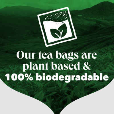 PG Tips decaf tea bags 203g, imported from the UK