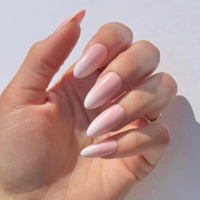 House of Amor French Ombré Press On Nails Long
