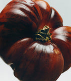 LOEWE Large Tomato Leaves scented candle, UK version