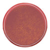L'Oréal Paris Liquid Blush 625 Glowy Gold Pink, imported from the UK