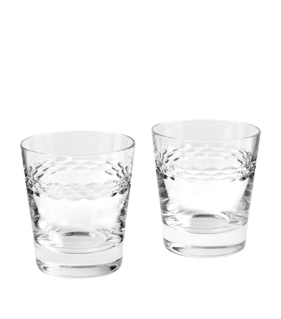 Wedgwood Neo Crystal Tumblers Set of 2 Tumbler Glasses 310ml