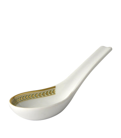 Bernardaud Constance Chinese Porcelain Spoon