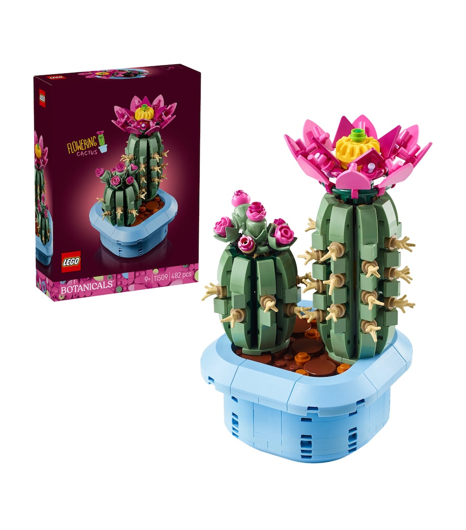 Lego Botanical Collection Flowering Cactus set, UK version