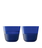 LSA International Arc Contrast Tumblers set of 2 260ml, UK version