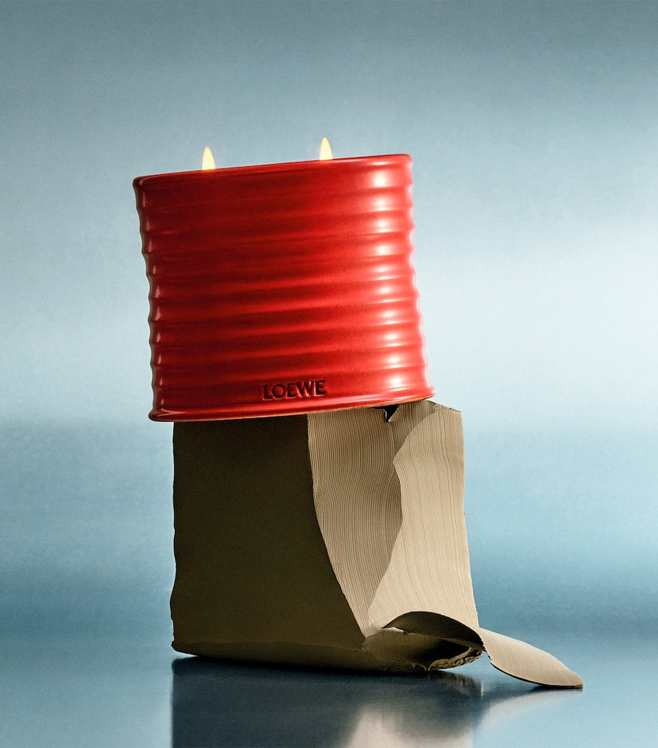 LOEWE Large Tomato Leaves scented candle, UK version