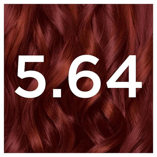 Garnier Permanent Hair Dye 5.64 Terracota Chili, UK version