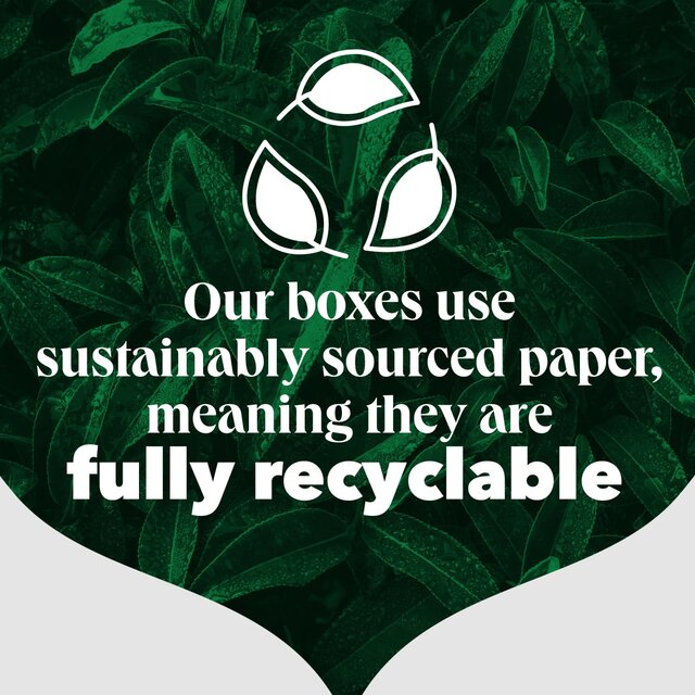 PG Tips Original Biodegradable Tea Bags   160 per pack - McGrocer