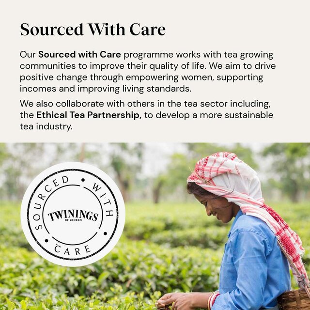 Twinings Superblends Detox with Lemon Ginger & Fennel   20 per pack - McGrocer