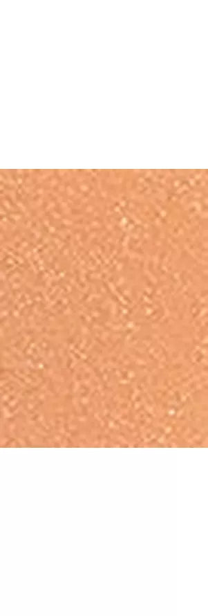 Charlotte Tilbury Unreal Skin Foundation Stick - McGrocer