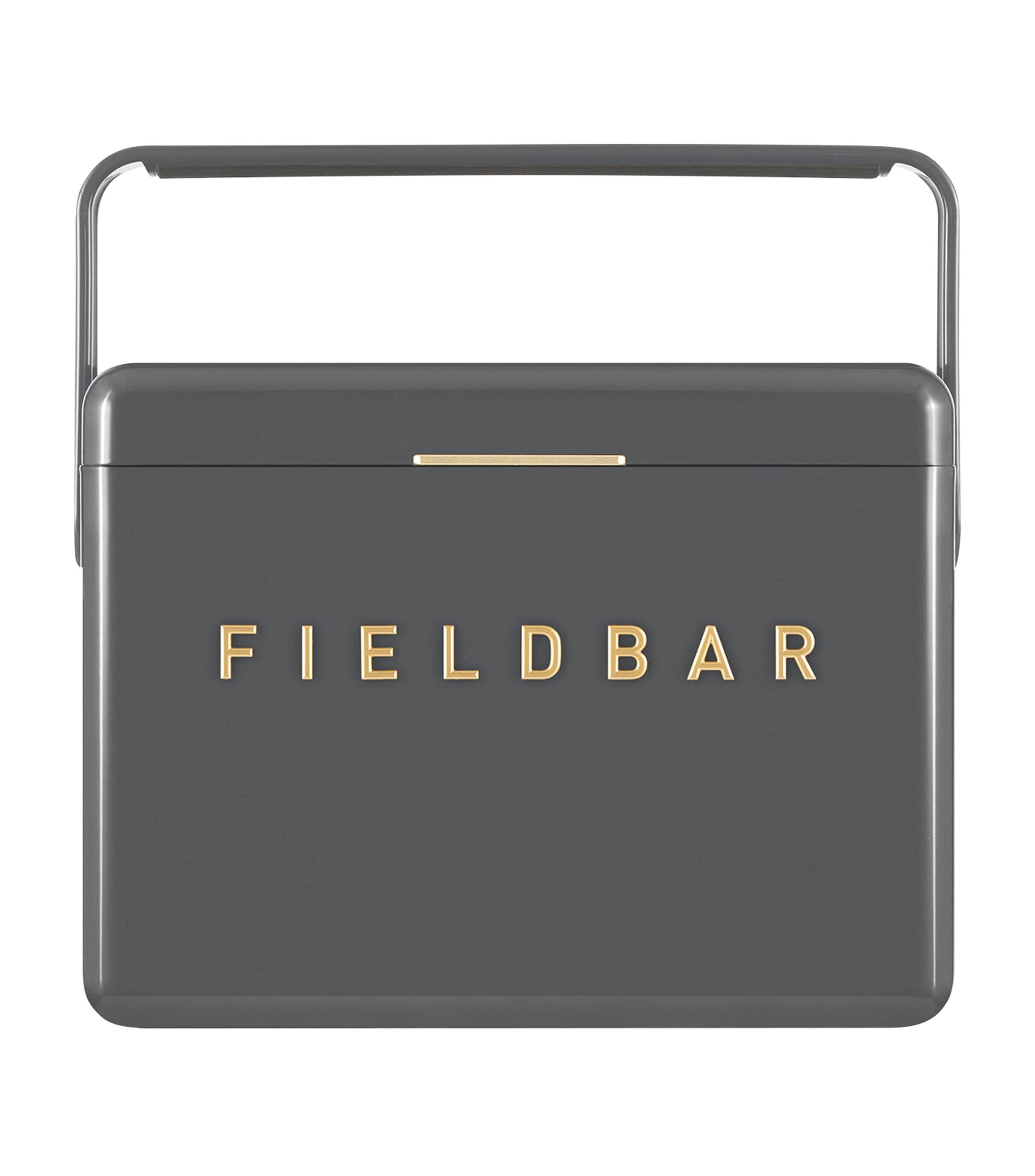 Fieldbar mini bar cooler box with leather sling 4L - British product