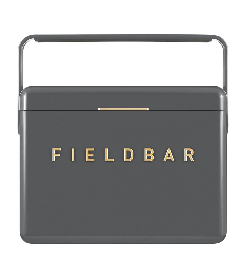 Fieldbar mini bar cooler box with leather sling 4L - British product