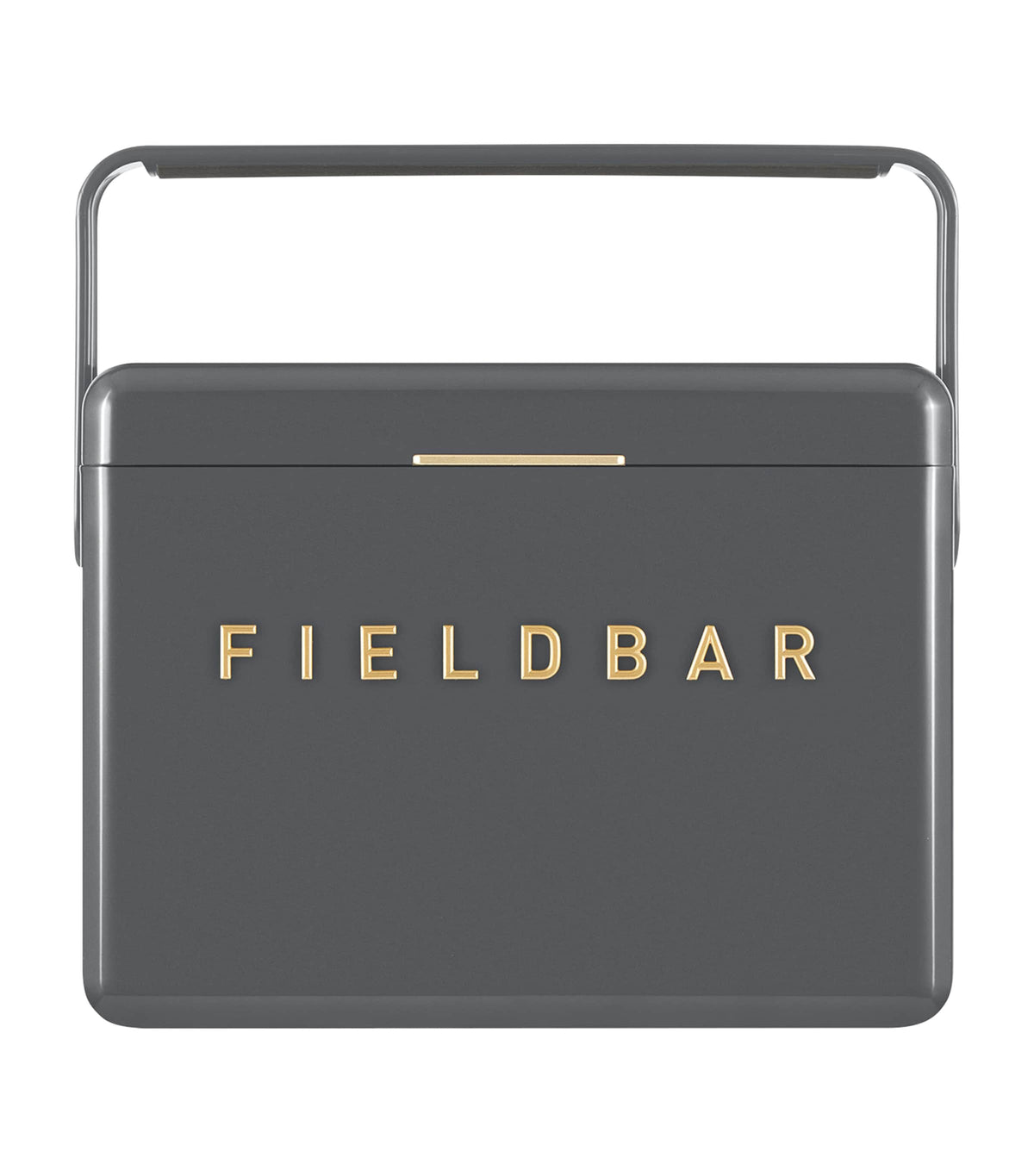 Fieldbar mini bar cooler box with leather sling 4L - British product
