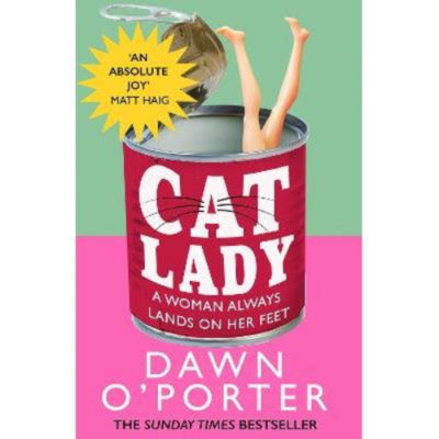 Dawn O'Porter Cat Lady Novel Fiction