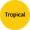 ASDA Tropical fabric detergent powder 2.25kg - British product