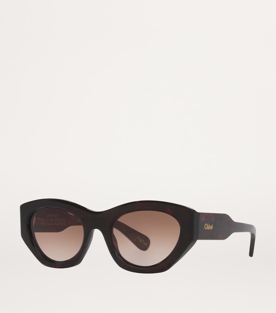Chloé Acetate CH0220S Sunglasses - British product
