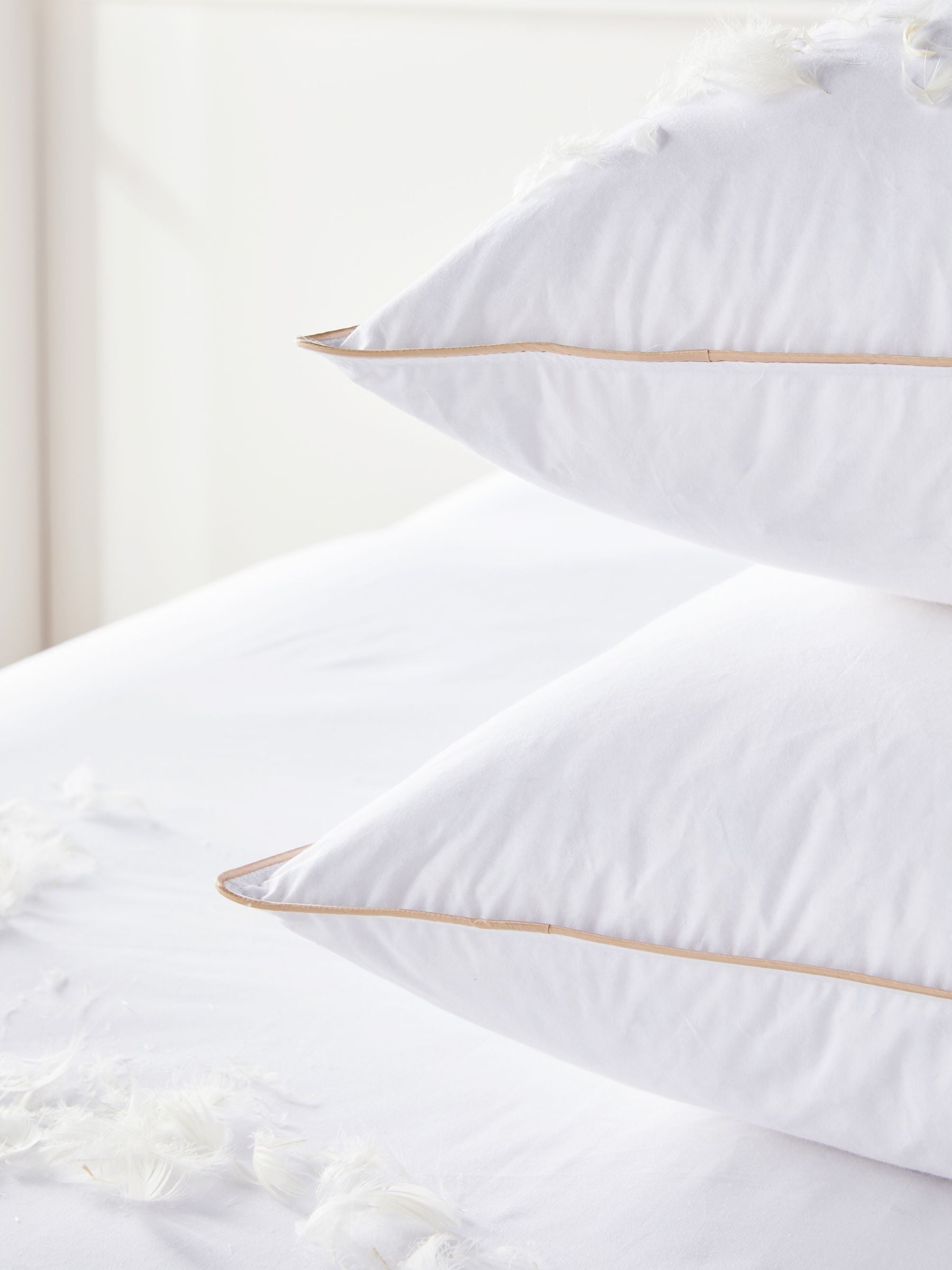 2 Pack Medium Cotton Goose Feather and Down Pillows