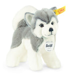 Steiff Bernie Husky plush toy 17cm (British brand)