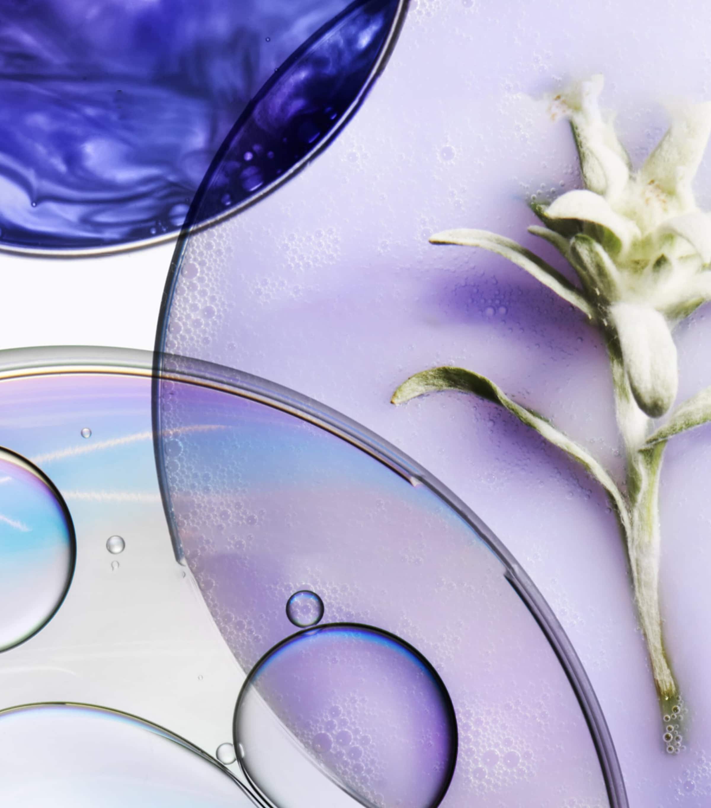 Kerastase Blond Absolu shampoo for blonde hair 500ml refill, UK version