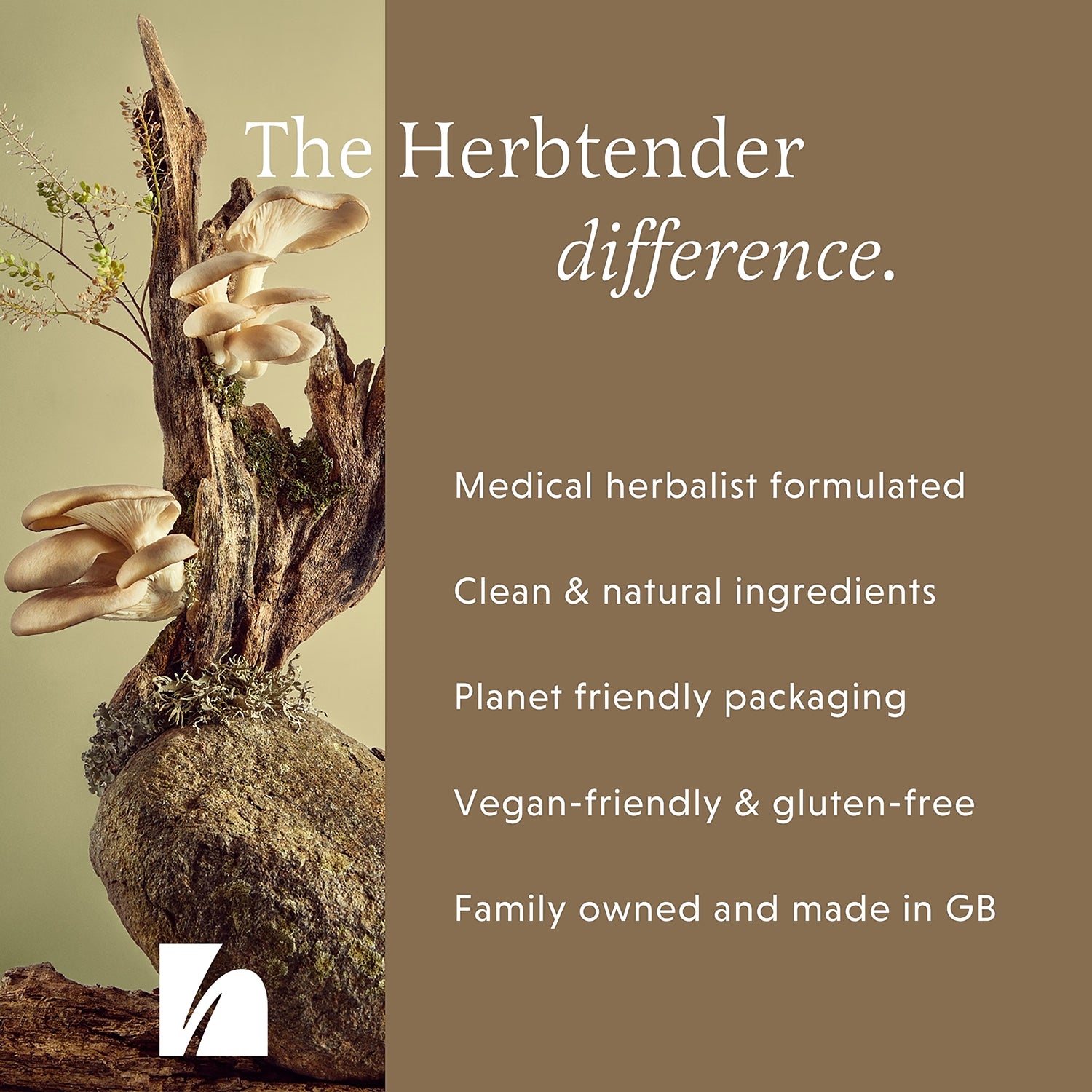 The Herbtender Immune Defence Capsules with Astragalus and Shrooms 60 Vegan, UK version