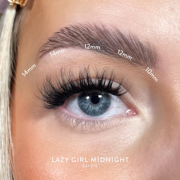 House of Amor false eyelashes Midnight 40 clusters, UK version