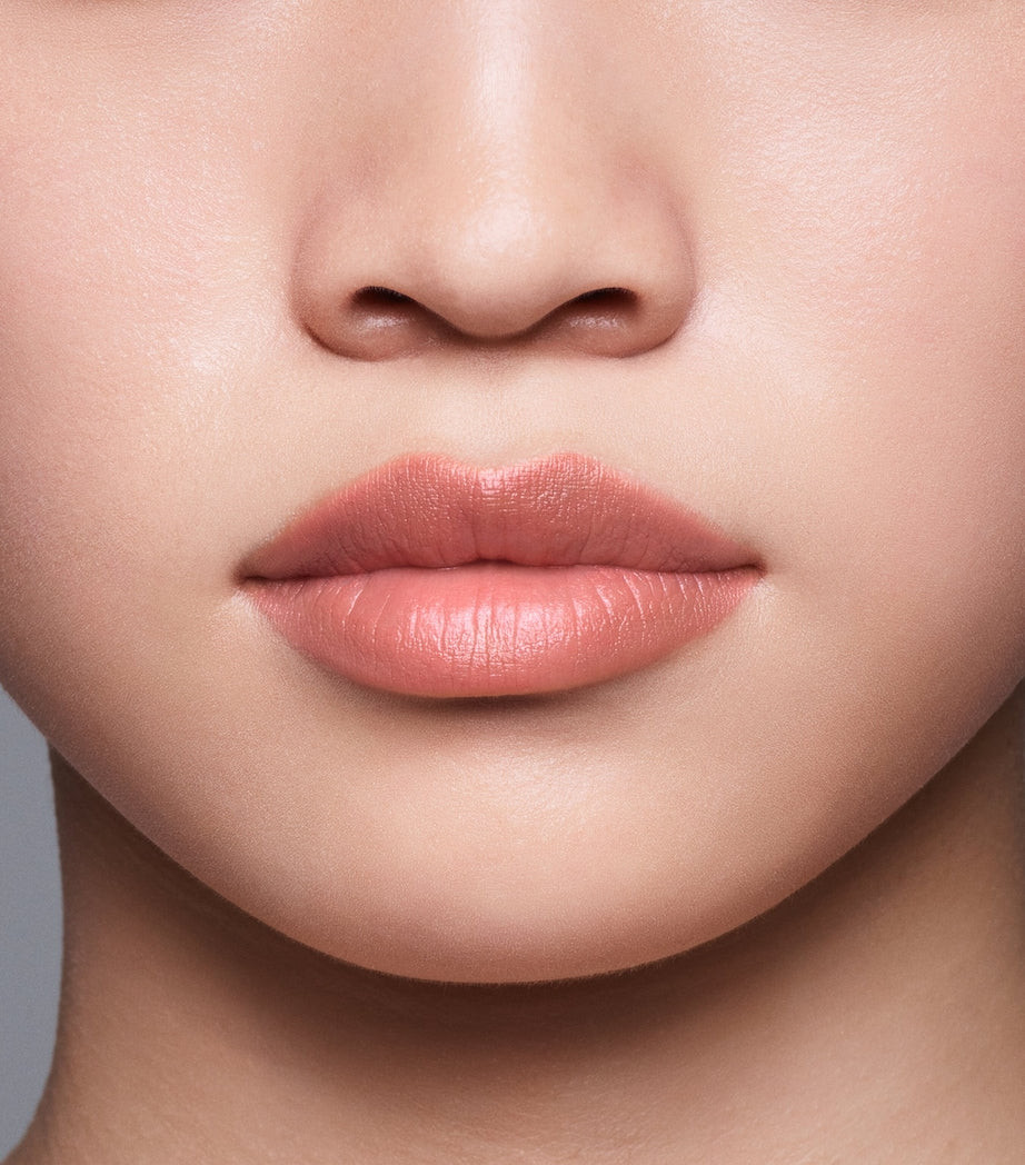 Shiseido LipLiner InkDuo