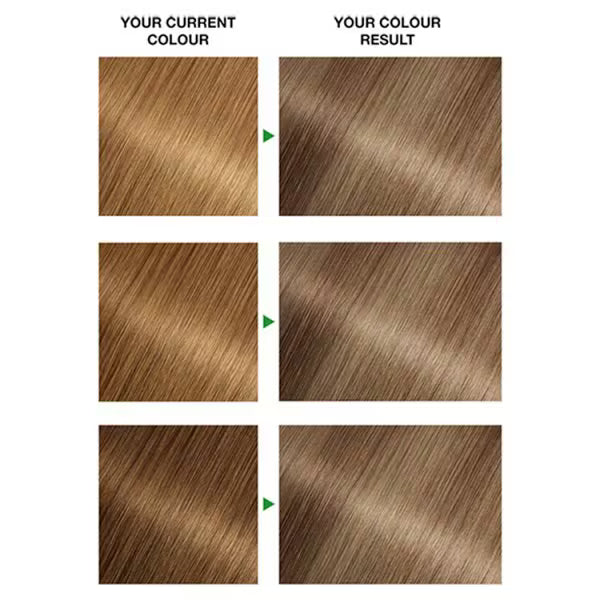 Garnier Nutrisse hair dye medium blonde 8N, UK version